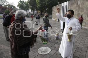 BENDICIÓN DE MASCOTAS