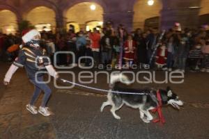 DESFILE DE NAVIDAD