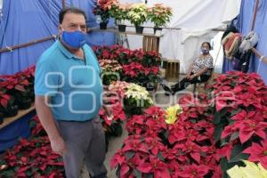 TLAXCALA . ARTÍCULOS NAVIDEÑOS