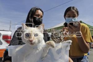 AYUNTAMIENTO . JORNADA DE ESTERILIZACIÓN