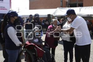 AYUNTAMIENTO . JORNADA DE ESTERILIZACIÓN