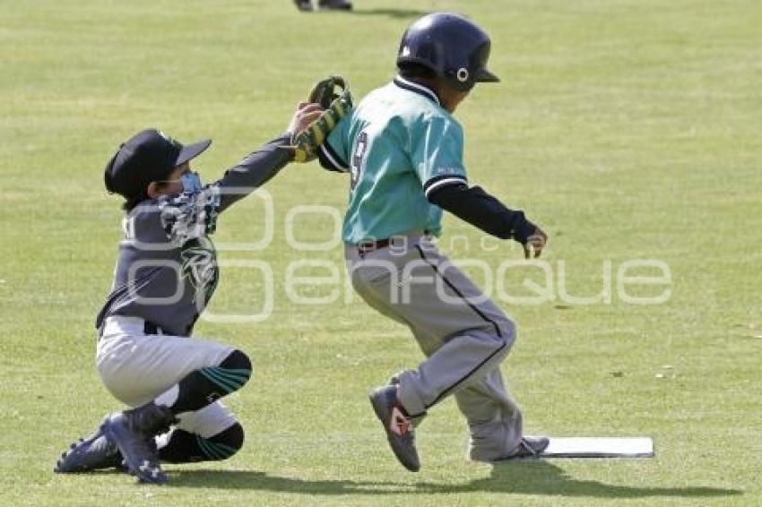 BÉISBOL . COPA PERIQUITOS 