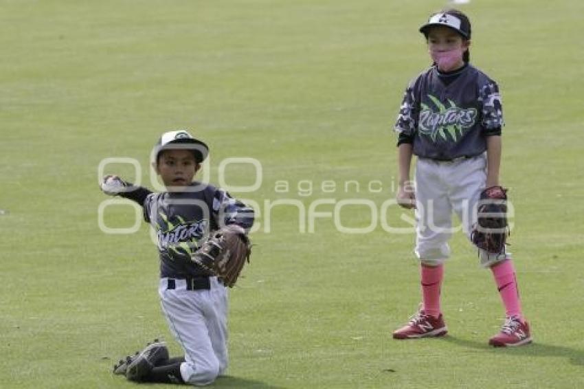 BÉISBOL . COPA PERIQUITOS 