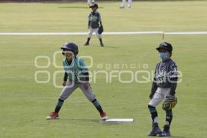 BÉISBOL . COPA PERIQUITOS 