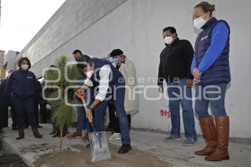 AYUNTAMIENTO . REHABILITACIÓN VIAL