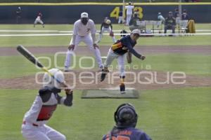 BÉISBOL . COPA PERIQUITOS 
