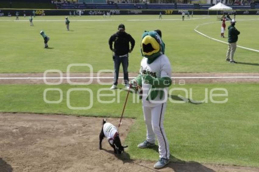 BÉISBOL . COPA PERIQUITOS 