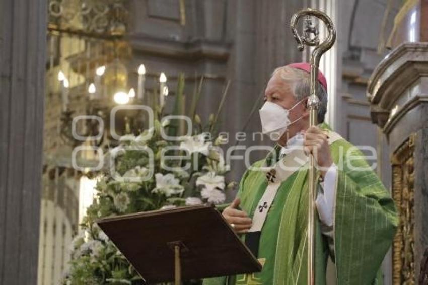 CATEDRAL . MISA