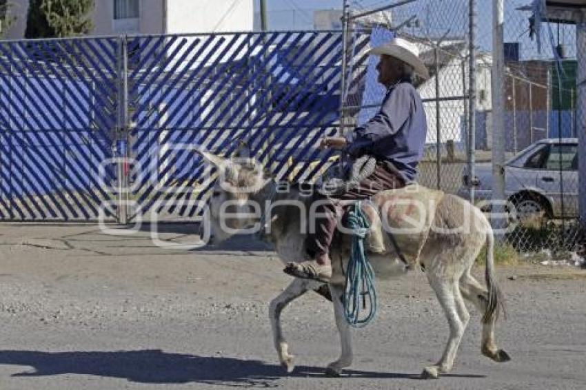 CERESO . OPERATIVO POLICÍA ESTATAL