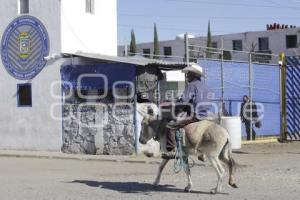 CERESO . OPERATIVO POLICÍA ESTATAL