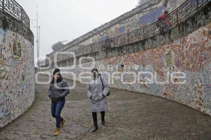 ZACATLÁN . VITROMURAL