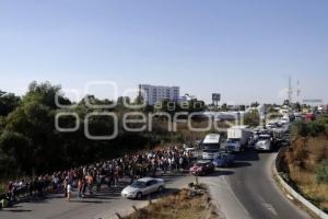 MANIFESTACIÓN . UDLAP