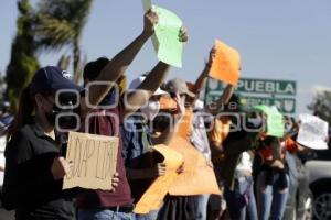 MANIFESTACIÓN . UDLAP