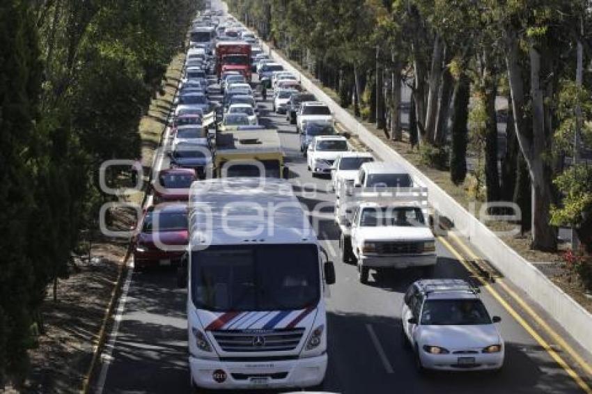 MANIFESTACIÓN . UDLAP