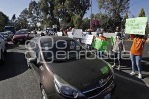 MANIFESTACIÓN . UDLAP