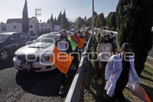 MANIFESTACIÓN . UDLAP