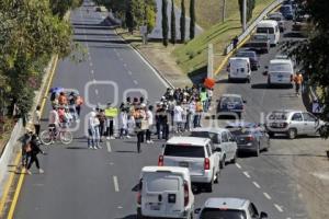 MANIFESTACIÓN . UDLAP