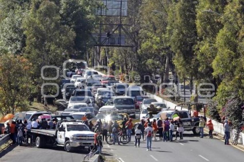 MANIFESTACIÓN . UDLAP