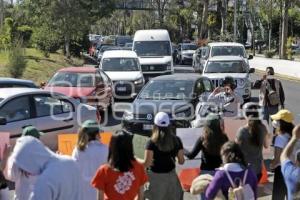 MANIFESTACIÓN . UDLAP