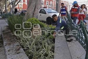 REHABILITACIÓN CORREDOR 5 DE MAYO