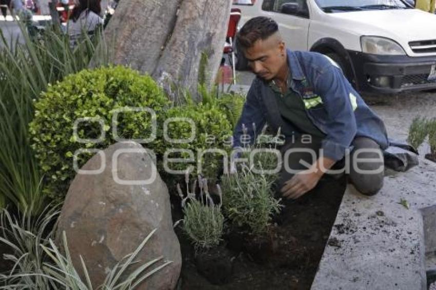 REHABILITACIÓN CORREDOR 5 DE MAYO