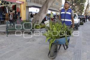 REHABILITACIÓN CORREDOR 5 DE MAYO