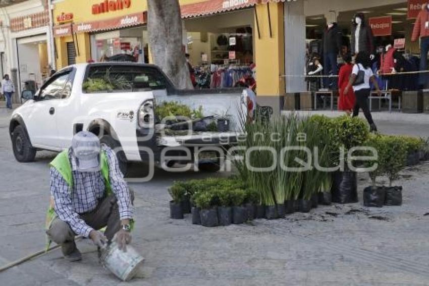 REHABILITACIÓN CORREDOR 5 DE MAYO