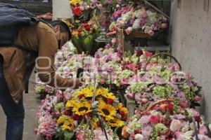 VENTA DE FLORES