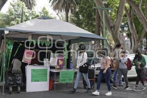 JORNADA ABORTO