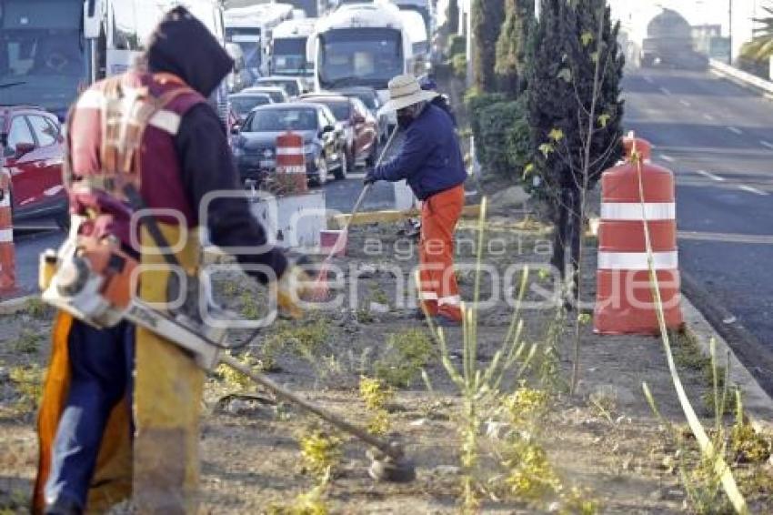 AYUNTAMIENTO . JORNADA DE LIMPIEZA