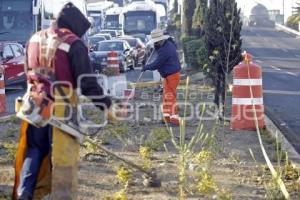 AYUNTAMIENTO . JORNADA DE LIMPIEZA