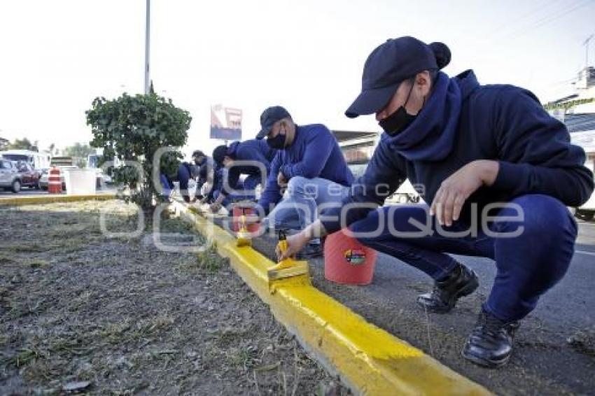 AYUNTAMIENTO . JORNADA DE LIMPIEZA