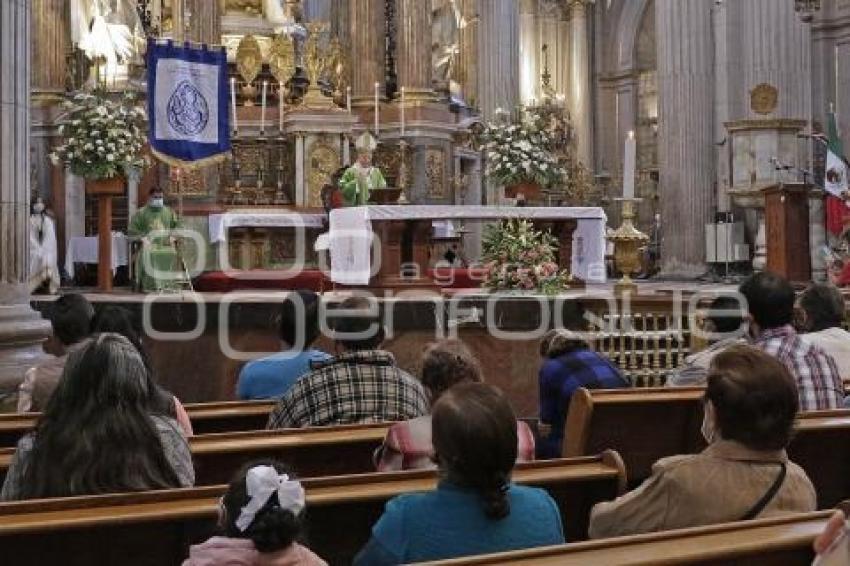 CATEDRAL . MISA