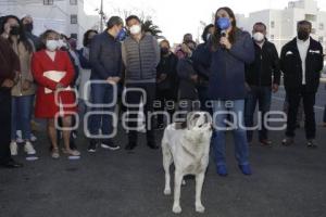 AYUNTAMIENTO .  APERTURA DE CALLE