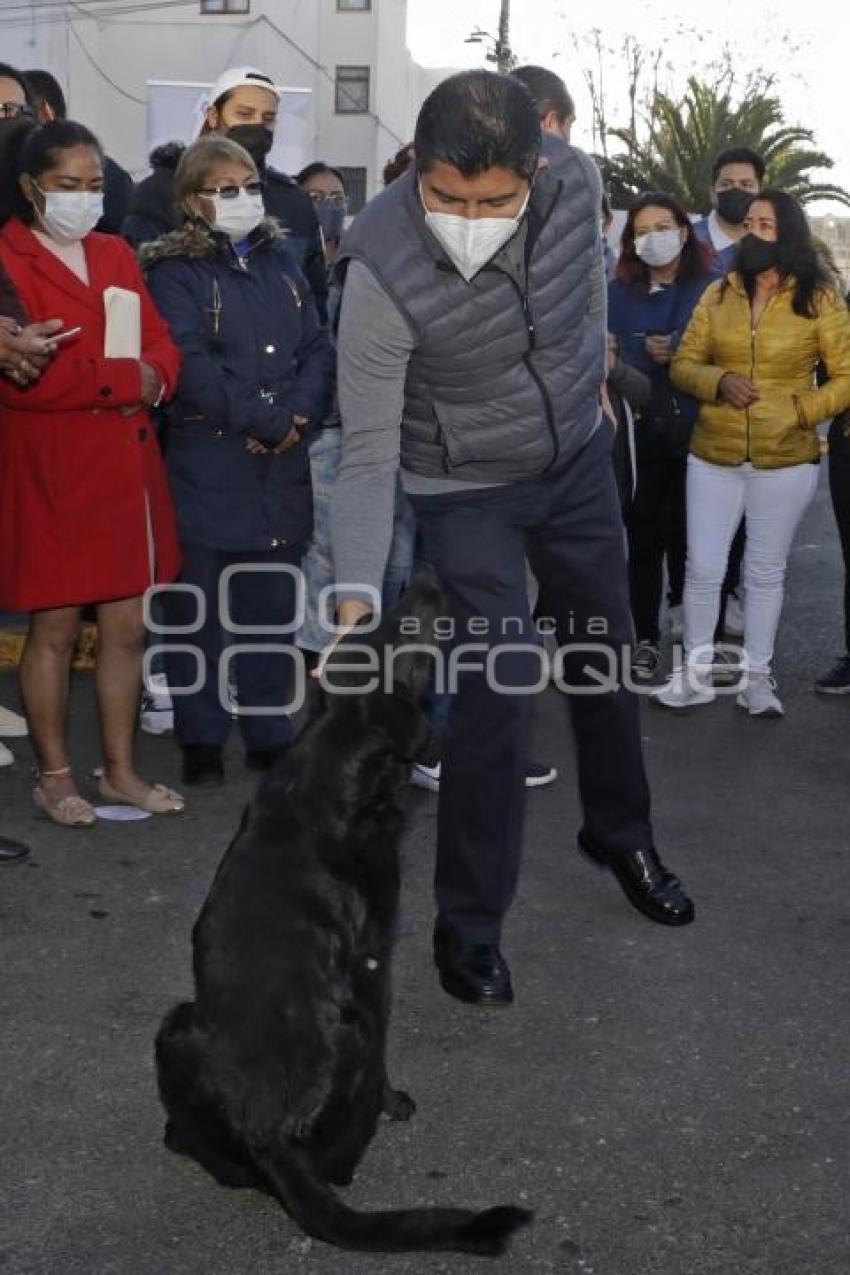 AYUNTAMIENTO . APERTURA DE CALLE