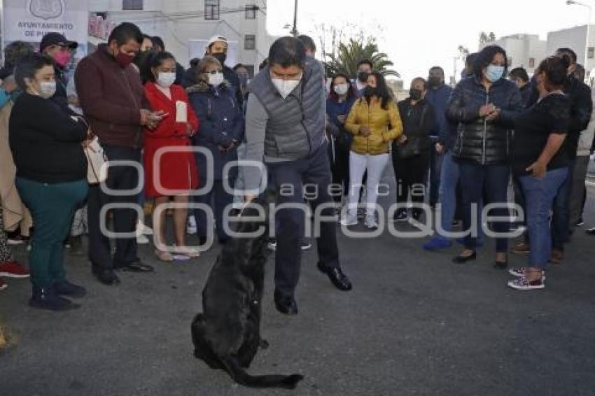 AYUNTAMIENTO . APERTURA DE CALLE