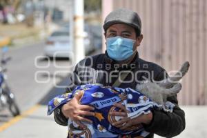 TLAXCALA . ESTERILIZACIÓN ANIMALES