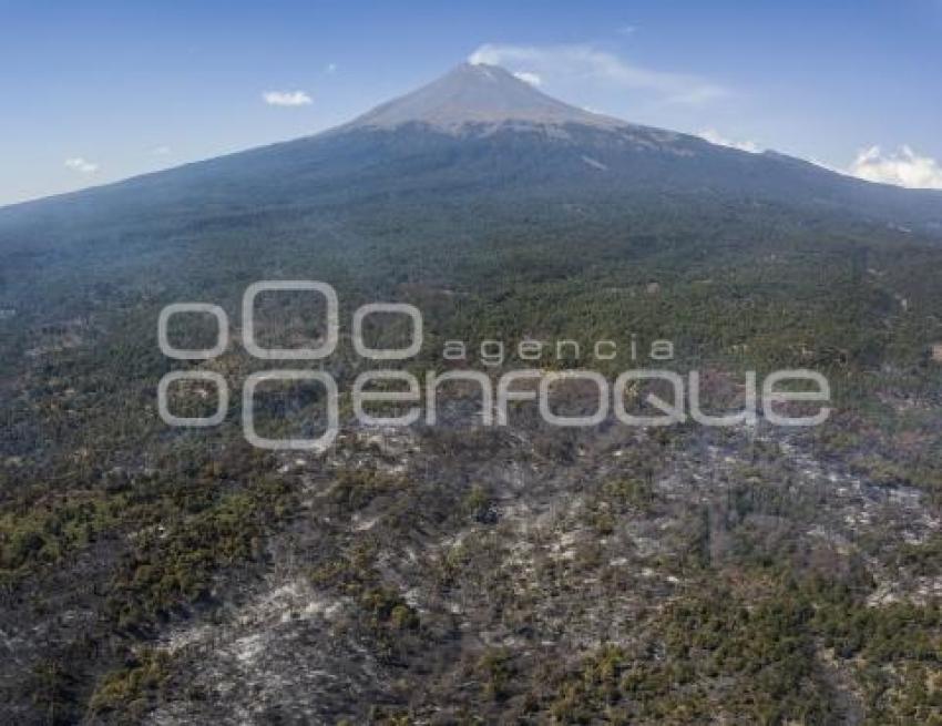 INCENDIO FORESTAL