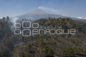 INCENDIO FORESTAL