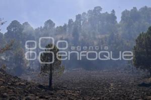 INCENDIO FORESTAL