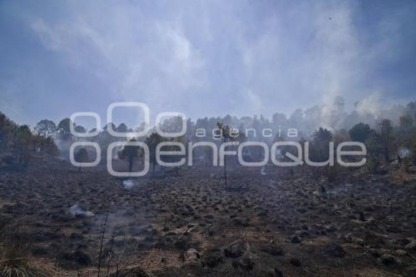 INCENDIO FORESTAL