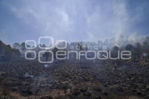 INCENDIO FORESTAL