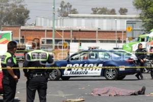 CENTRAL DE ABASTO . ATROPELLADO