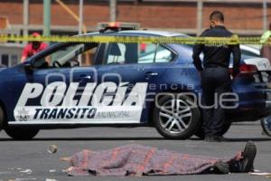 CENTRAL DE ABASTO . ATROPELLADO