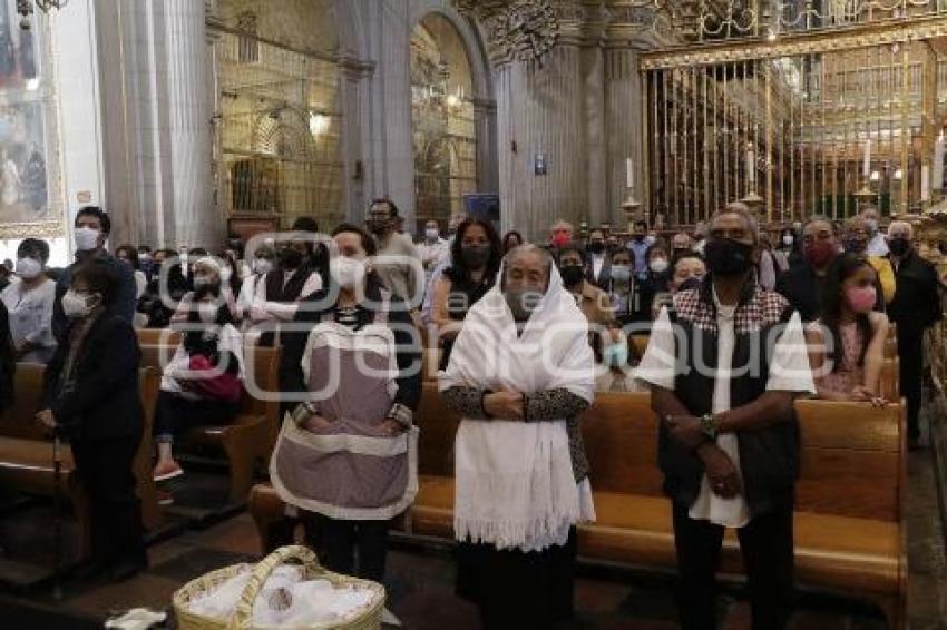 CATEDRAL . MISA