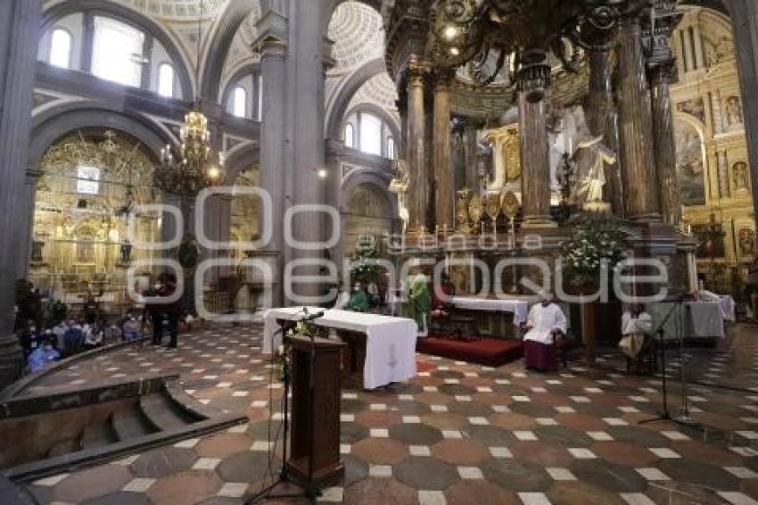 CATEDRAL . MISA
