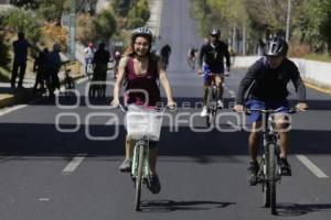 VÍA RECREATIVA METROPOLITANA