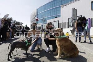 PROTESTA . MUJERES UNIDAS