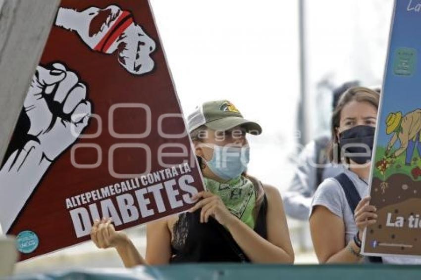 MUJERES FRENTE DE PUEBLOS UNIDOS