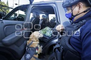 OPERATIVO ABASTO SEGURO